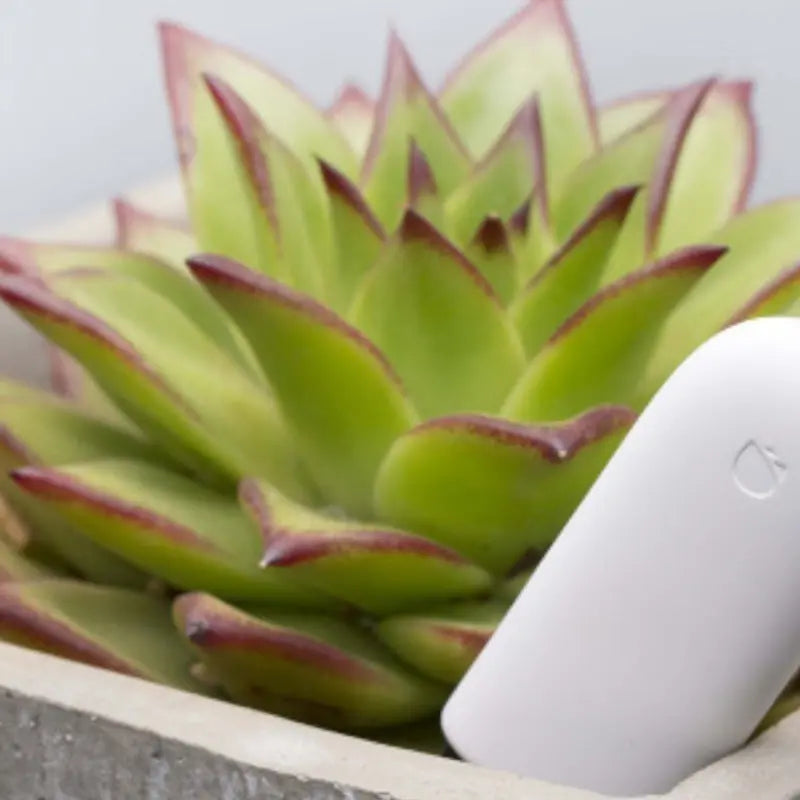 Mijia Plant Detector - Plant Cultivation Detector Soil Monitor - Outsmart