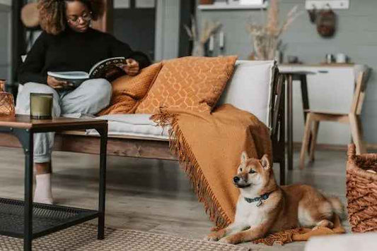 Embrace the Flow: Your Effortless Living Guide - Outsmart