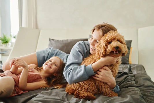 Smart Pet Care: The Effortless Way to Feed, Clean & Play - Outsmart