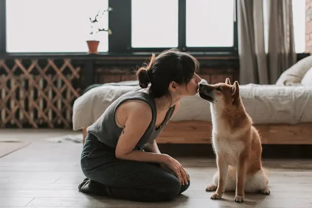 Smart Pet Gadgets: Top 5 Smart Gadgets for Pet Owners - Outsmart
