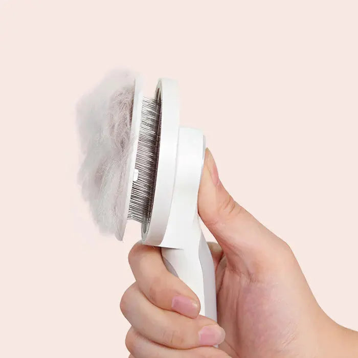 Self-Cleaning Pet Brush Outsmart