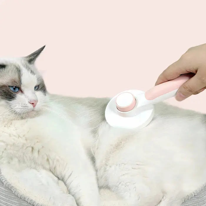 Self-Cleaning Pet Brush Outsmart