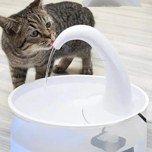 Cat Drinking Fountain - Outsmart