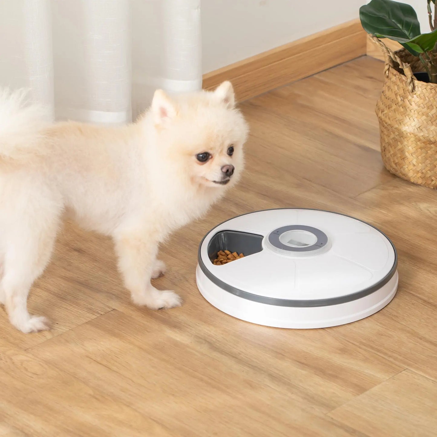 PawHut Automatic Pet Dog Cat Feeder w/ Digital Timer Six-Meal Food Dispenser Outsmart