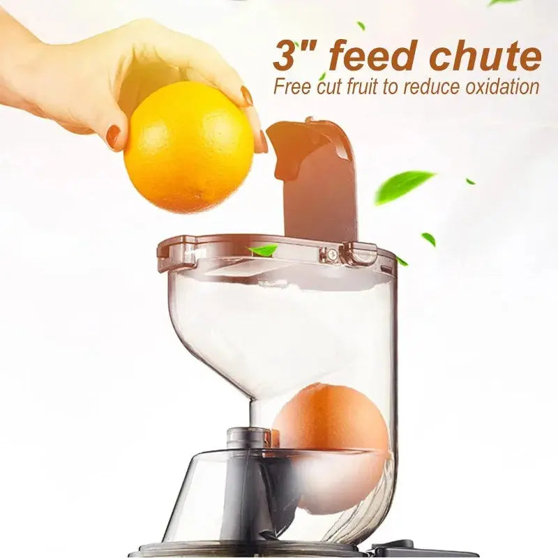 Masticating Juicer Machine - Outsmart