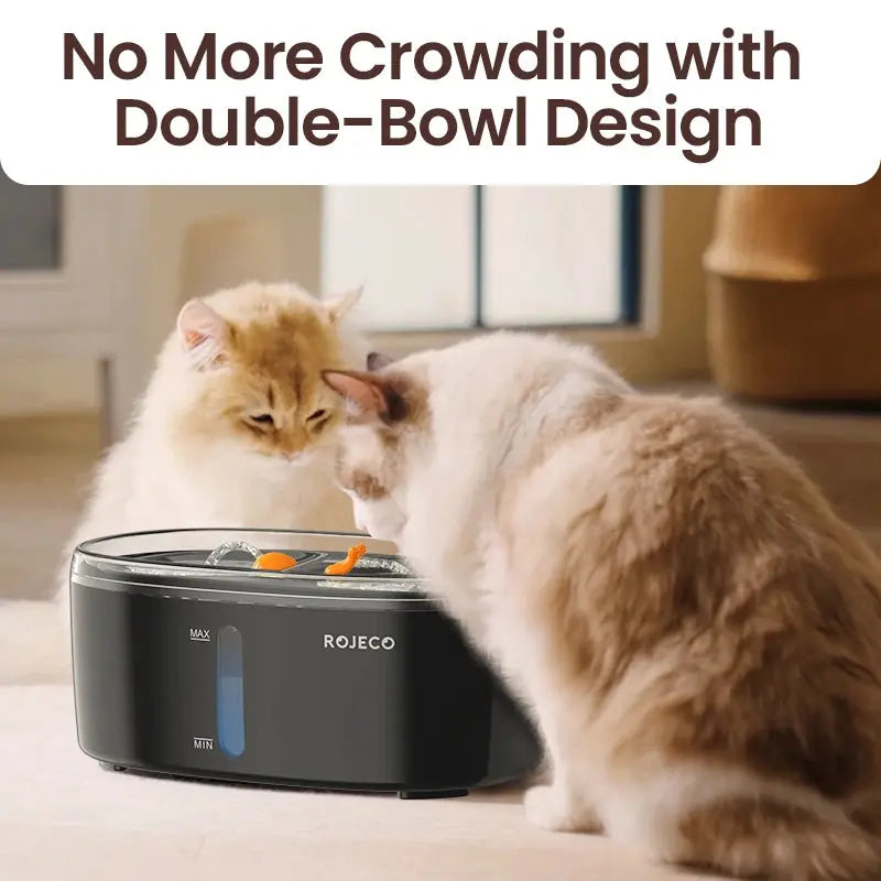 Automatic Pet Water Fountain Dual bowls Wireless Pet Water Dispenser for Dog Cat Smart Drinker Multiple Pets (Black) - Outsmart