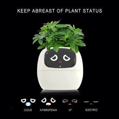 Smart Small Flower Pot - Outsmart