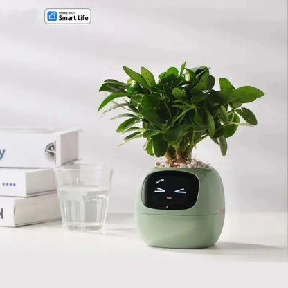 Smart Small Flower Pot - Outsmart