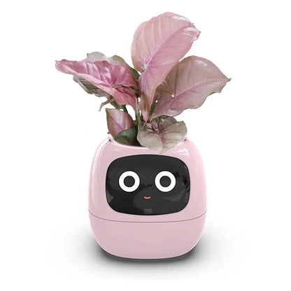 Smart Small Flower Pot - Outsmart