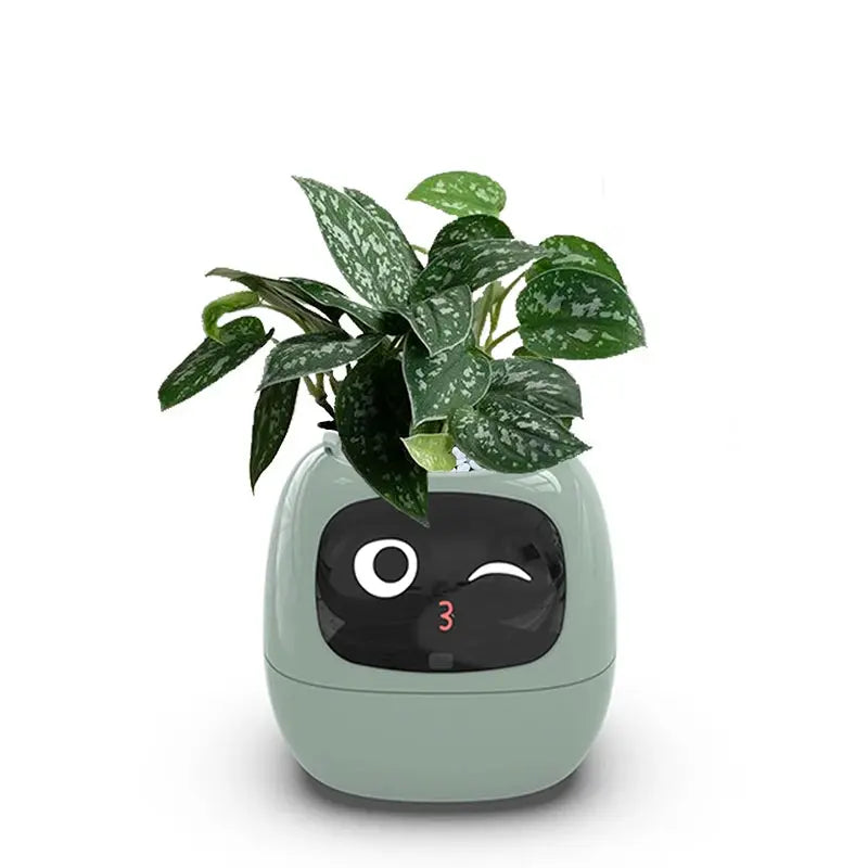 Smart Small Flower Pot - Outsmart