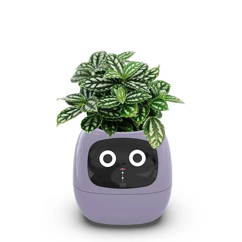 Smart Small Flower Pot - Outsmart