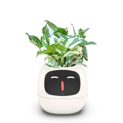 Smart Small Flower Pot - Outsmart